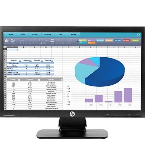 Монитор HP ProDisplay P202 20-inch Monitor